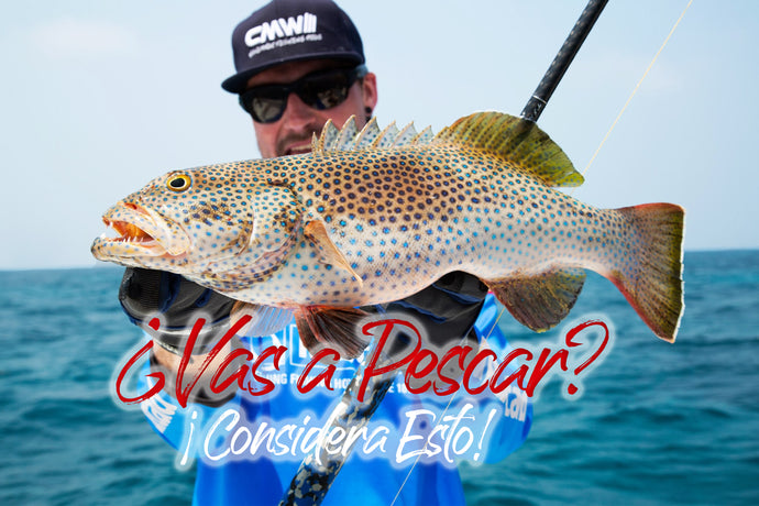 ¿Vas de pesca? ¡Considera esto!