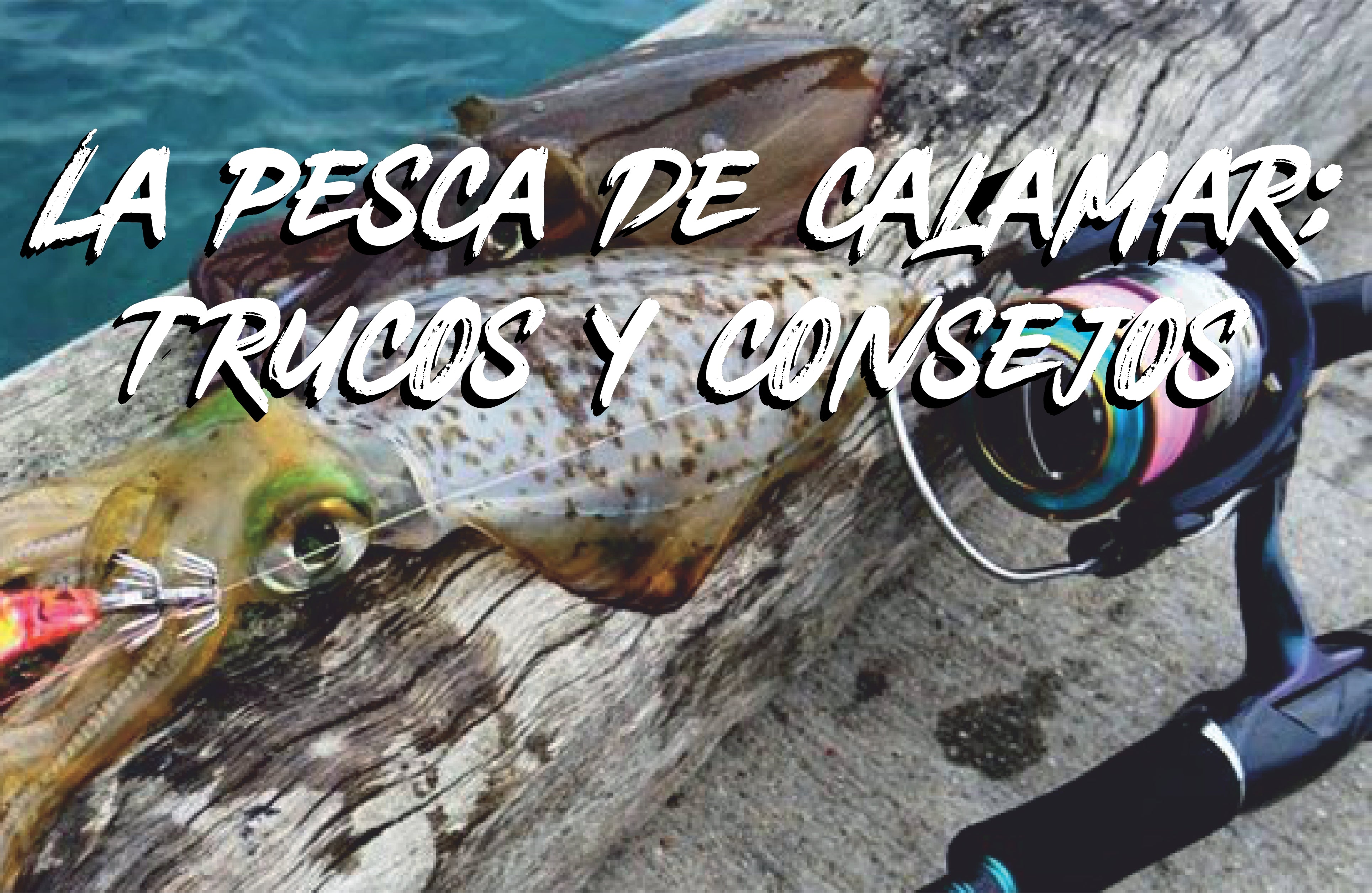 Señuelo de pesca Calamar – Pro Pesca