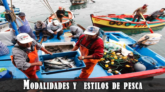 La pesca del calamar; trucos y consejos – Pro Pesca